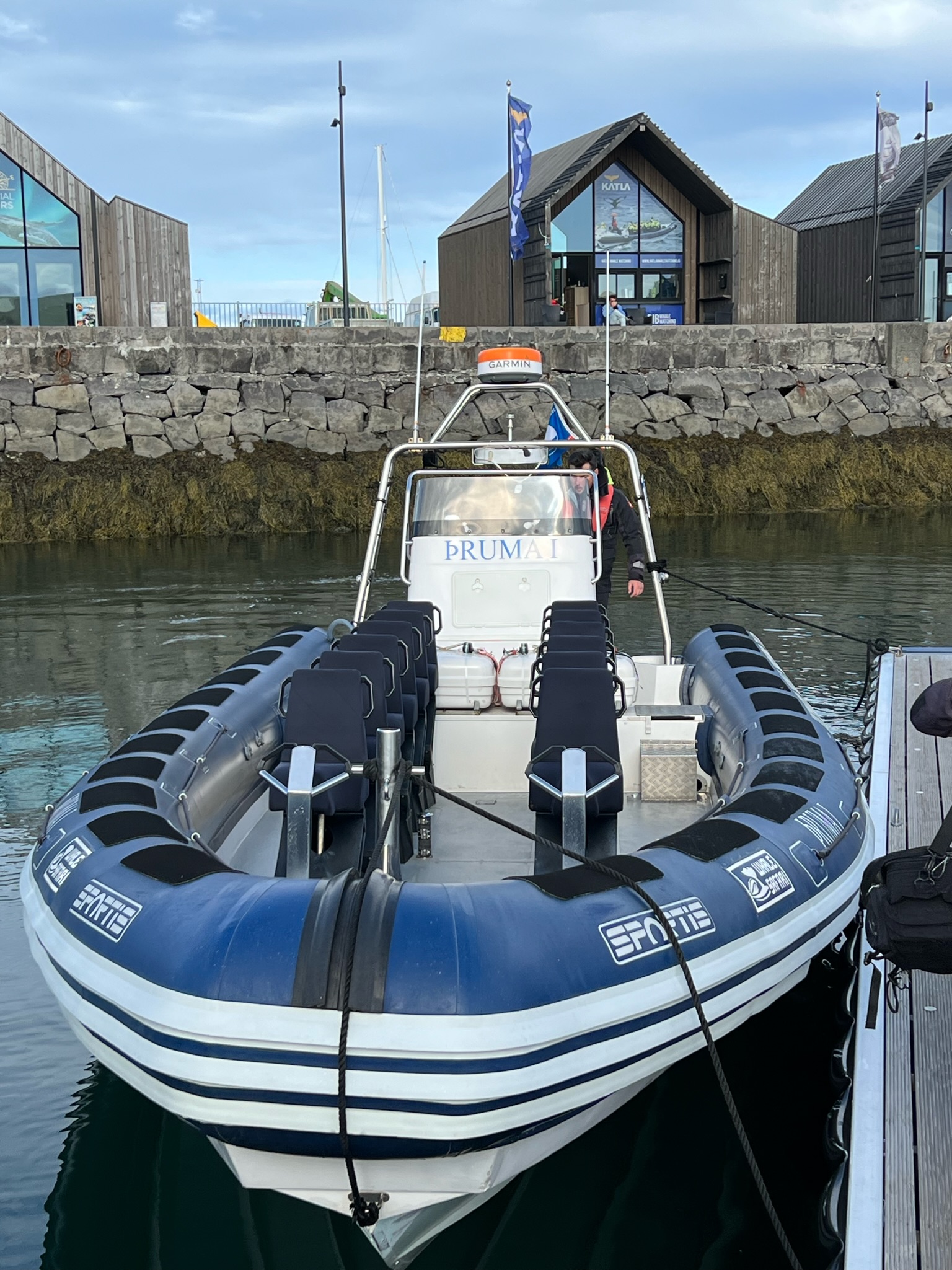 islande zodiac baleine reykjavik 