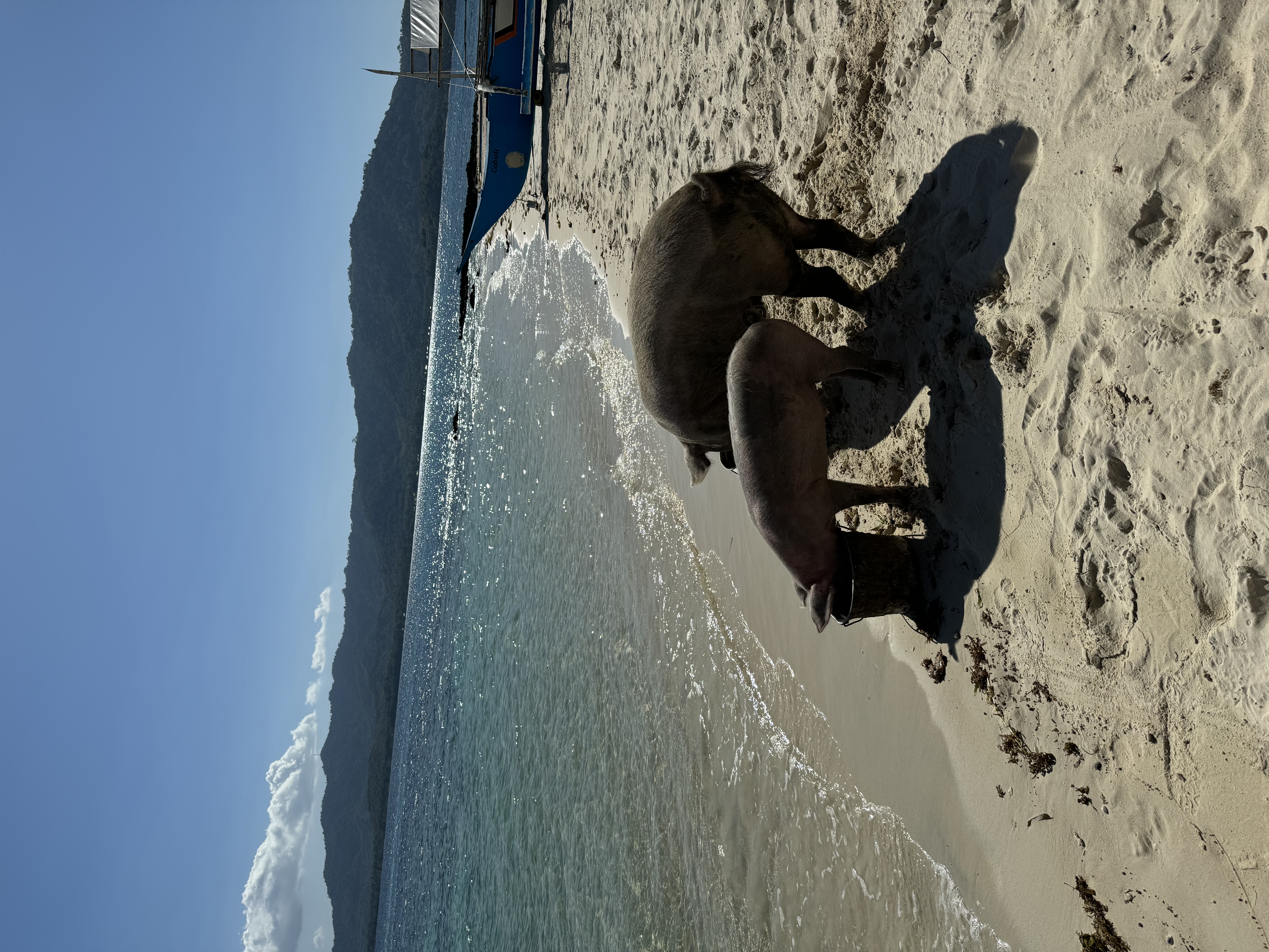 philippines asie palawan 