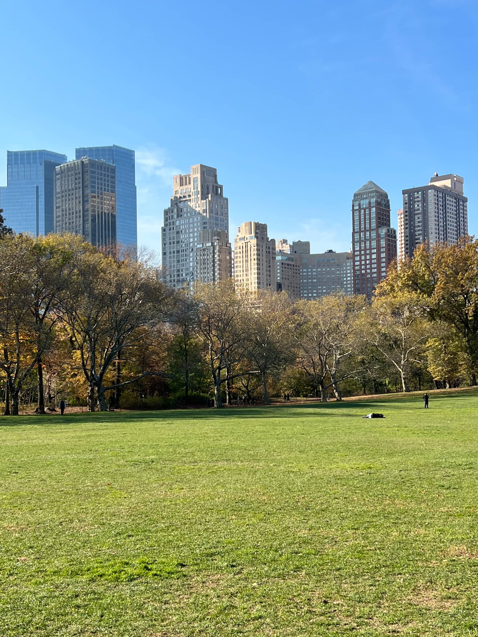 central park news york manhattan 